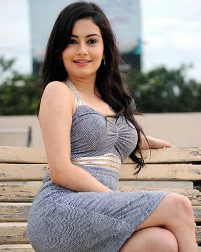 Call Girls in ludhiana